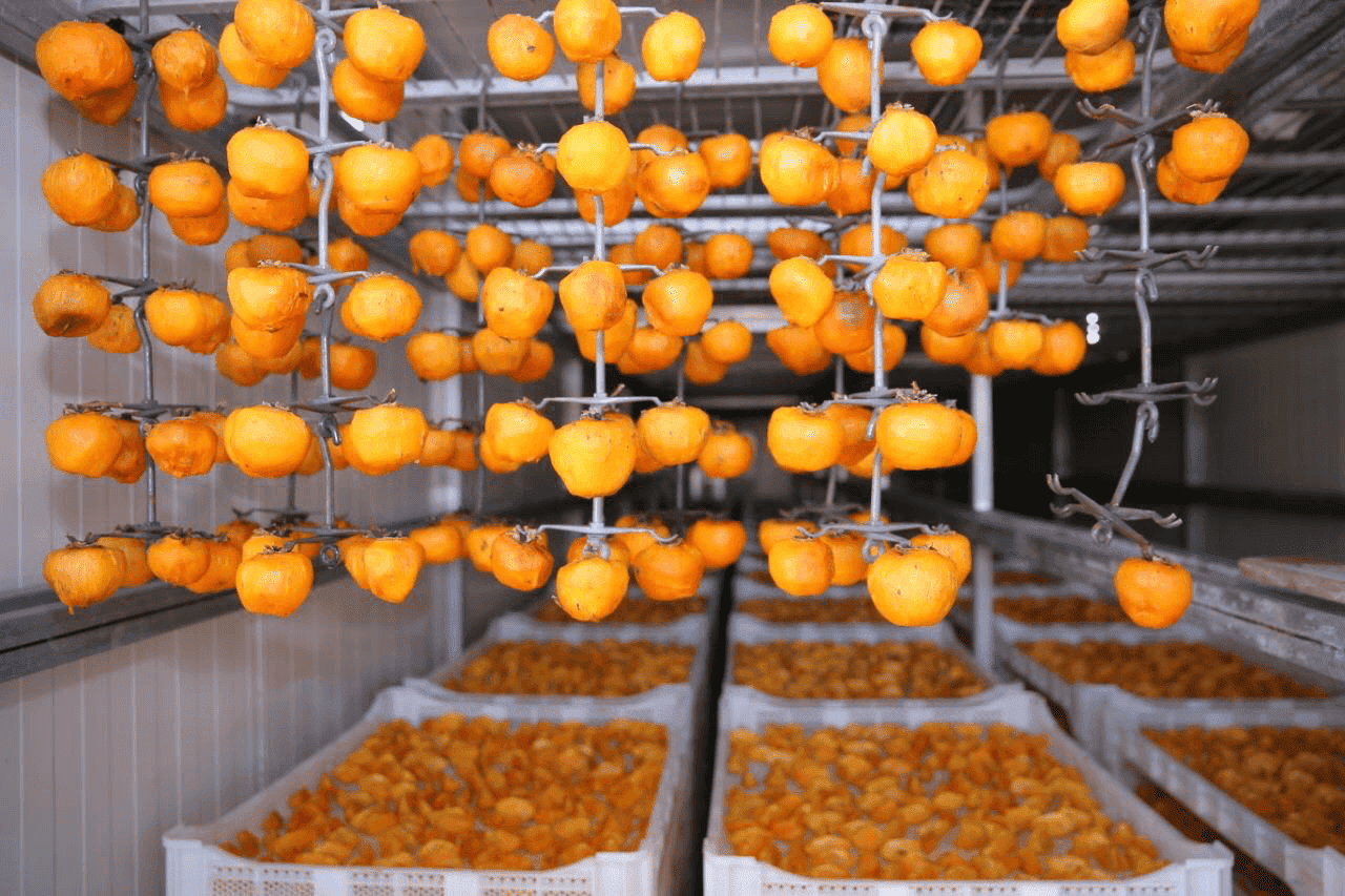 Agriculture Services